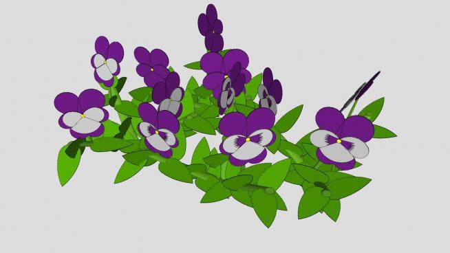 紫罗兰植物SU模型下载_sketchup草图大师SKP模型
