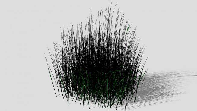 3D草丛植物SU模型下载_sketchup草图大师SKP模型