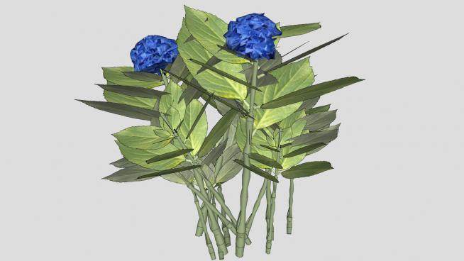 3D蓝色绣球花植物SU模型下载_sketchup草图大师SKP模型