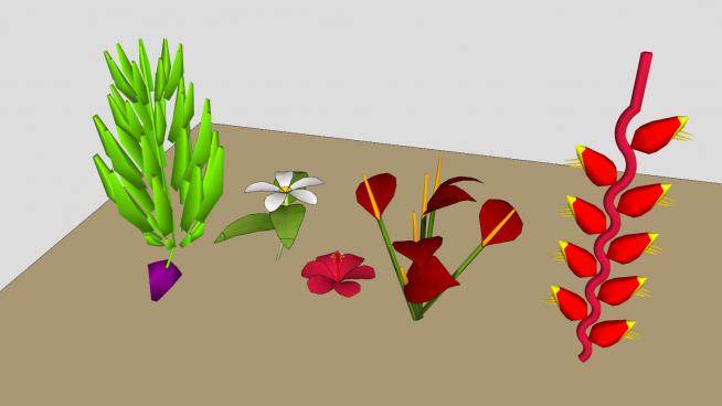 热带花卉植物组SU模型下载_sketchup草图大师SKP模型