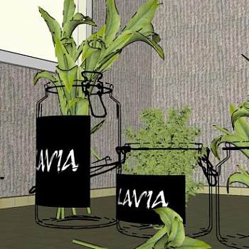 樱桃和玻璃植物装饰品SU模型下载_sketchup草图大师SKP模型