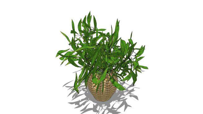 室内花瓶植物SU模型下载_sketchup草图大师SKP模型