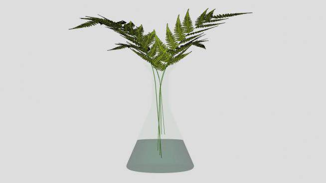 精美的玻璃花瓶植物SU模型下载_sketchup草图大师SKP模型