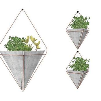 装饰植物吊篮盆栽盆景SU模型下载_sketchup草图大师SKP模型