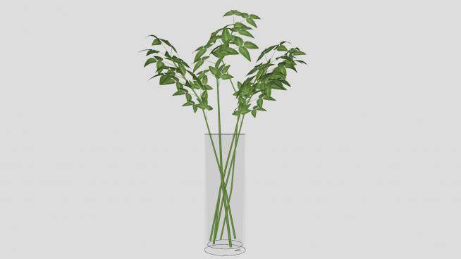 玻璃花瓶植物SU模型下载_sketchup草图大师SKP模型
