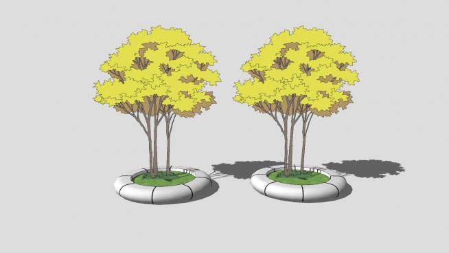 圆形树池景观树SU模型下载_sketchup草图大师SKP模型