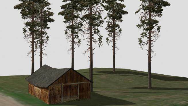 郊外小木屋和高高的3D白杨树SU模型下载_sketchup草图大师SKP模型