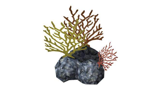 珊瑚石石头SU模型下载_sketchup草图大师SKP模型