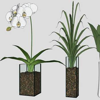室内摆件花瓶观赏SU模型下载_sketchup草图大师SKP模型