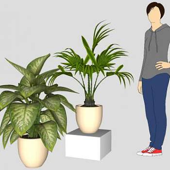 陶瓷花盆盆栽植物SU模型下载_sketchup草图大师SKP模型