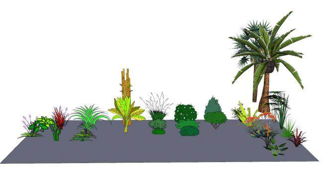 2D灌木植物系列SU模型下载_sketchup草图大师SKP模型