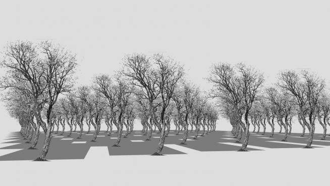 2D枯树冬季树SU模型下载_sketchup草图大师SKP模型