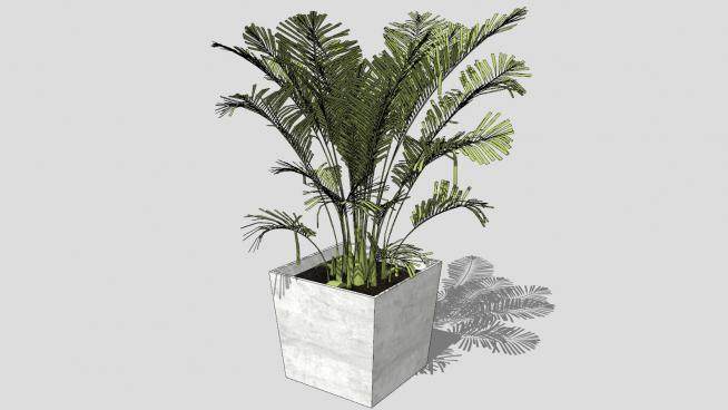 花盆盆栽的植物SU模型下载_sketchup草图大师SKP模型