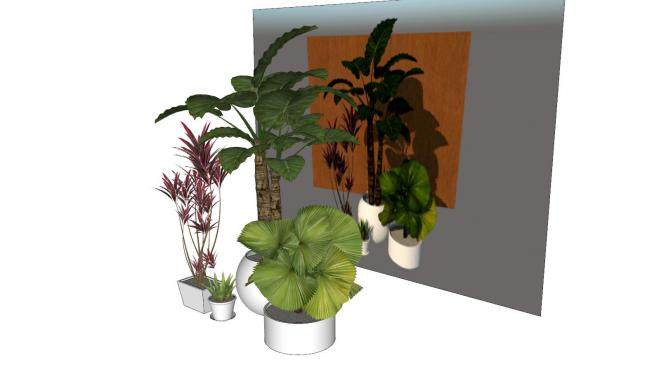 现代观叶植物盆栽系列SU模型下载_sketchup草图大师SKP模型