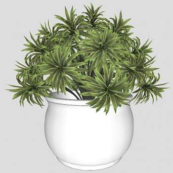 陶瓷花盆植物SU模型下载_sketchup草图大师SKP模型