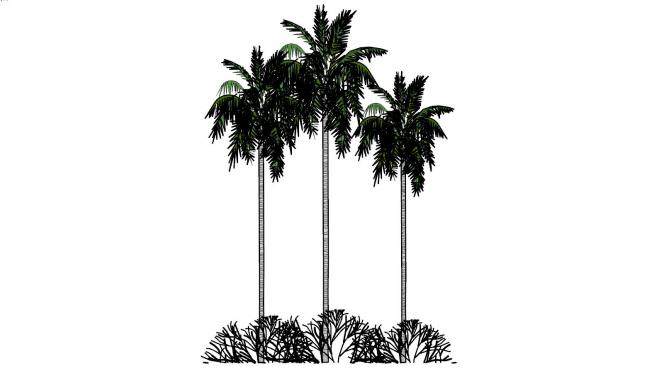三棵椰子树SU模型下载_sketchup草图大师SKP模型