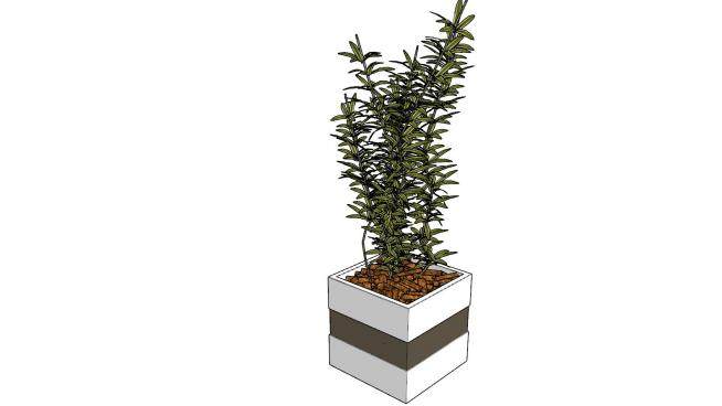 花盆盆景植物sketchup模型下载_sketchup草图大师SKP模型