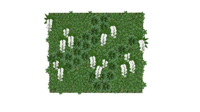 植物墙装饰SU模型下载_sketchup草图大师SKP模型