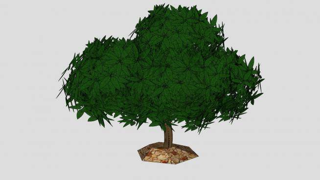 3D小树木SU模型下载_sketchup草图大师SKP模型
