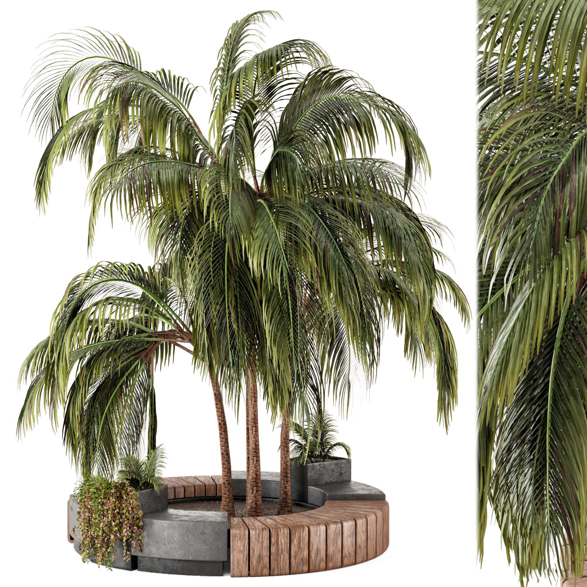 SY02_现代景观植物，圆形公共座椅椰子树景观植物绿植无灯,3d模型下载