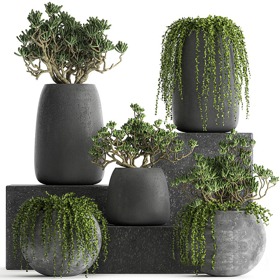 SY013_ 混凝土花盆植物，绿植，盆栽组合无灯3d模型下载
