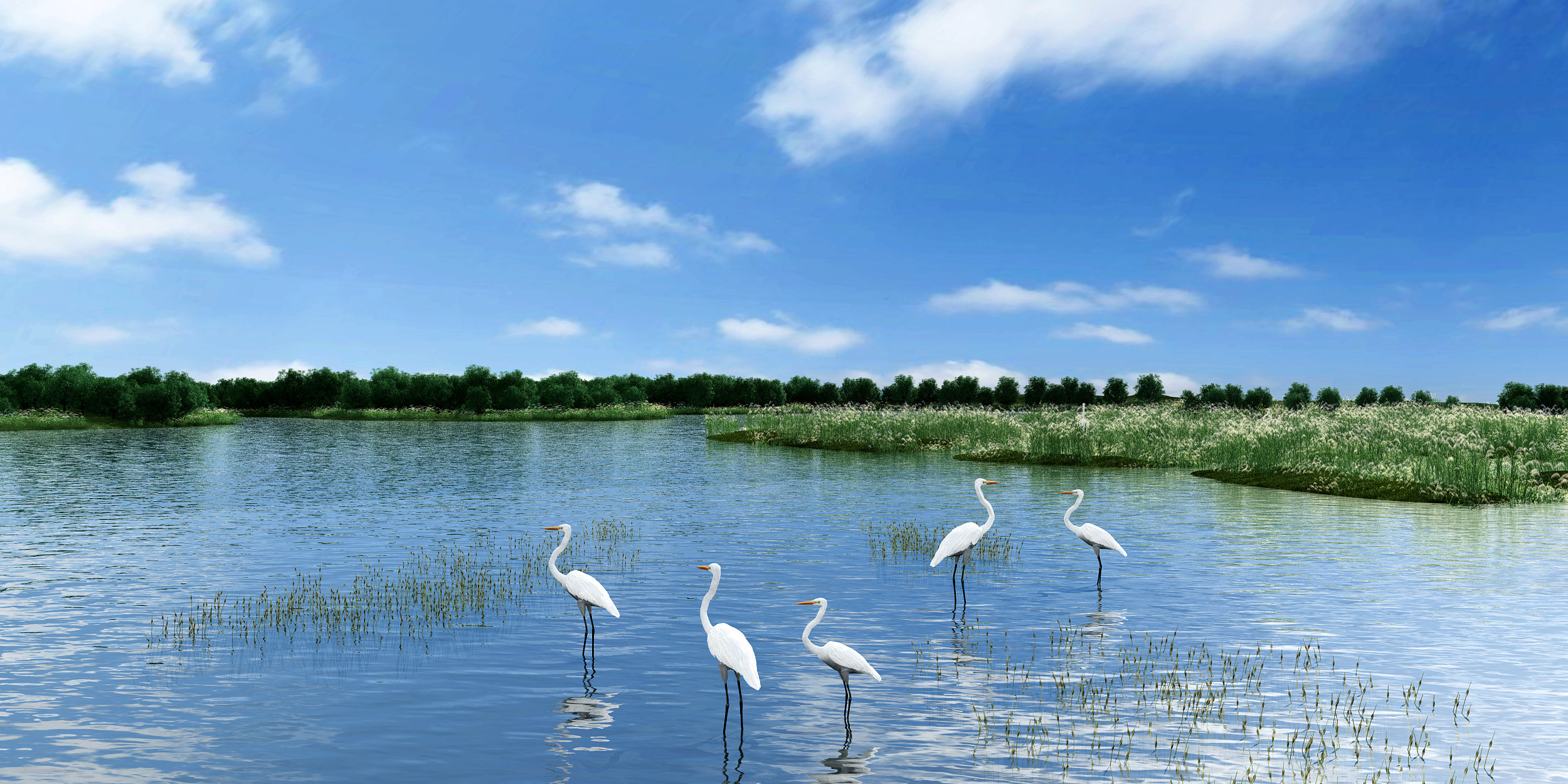 现代湿地公园园林景观3d模型下载