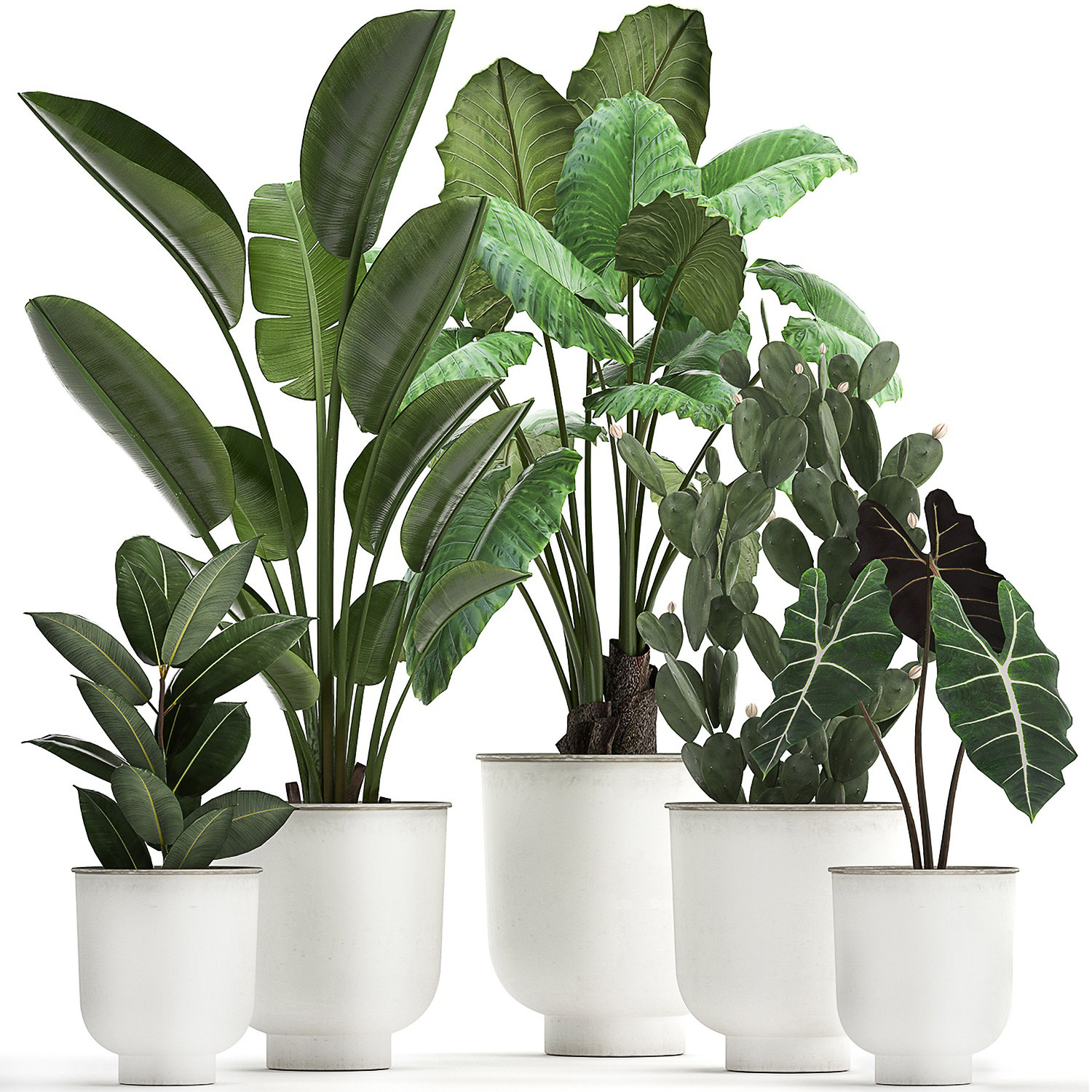 现代植物盆栽3d模型下载