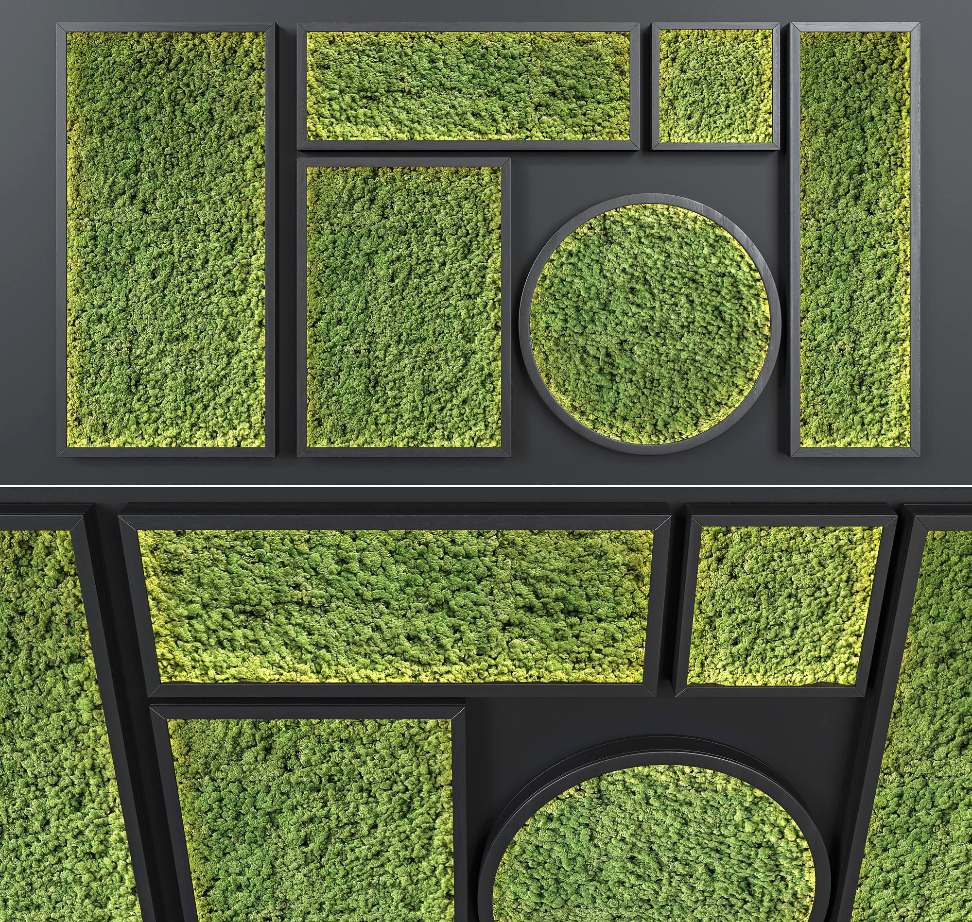 现代苔藓,绿植,植物背景墙3d模型下载