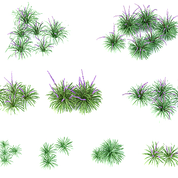 现代草,植物,薰衣草3d模型下载