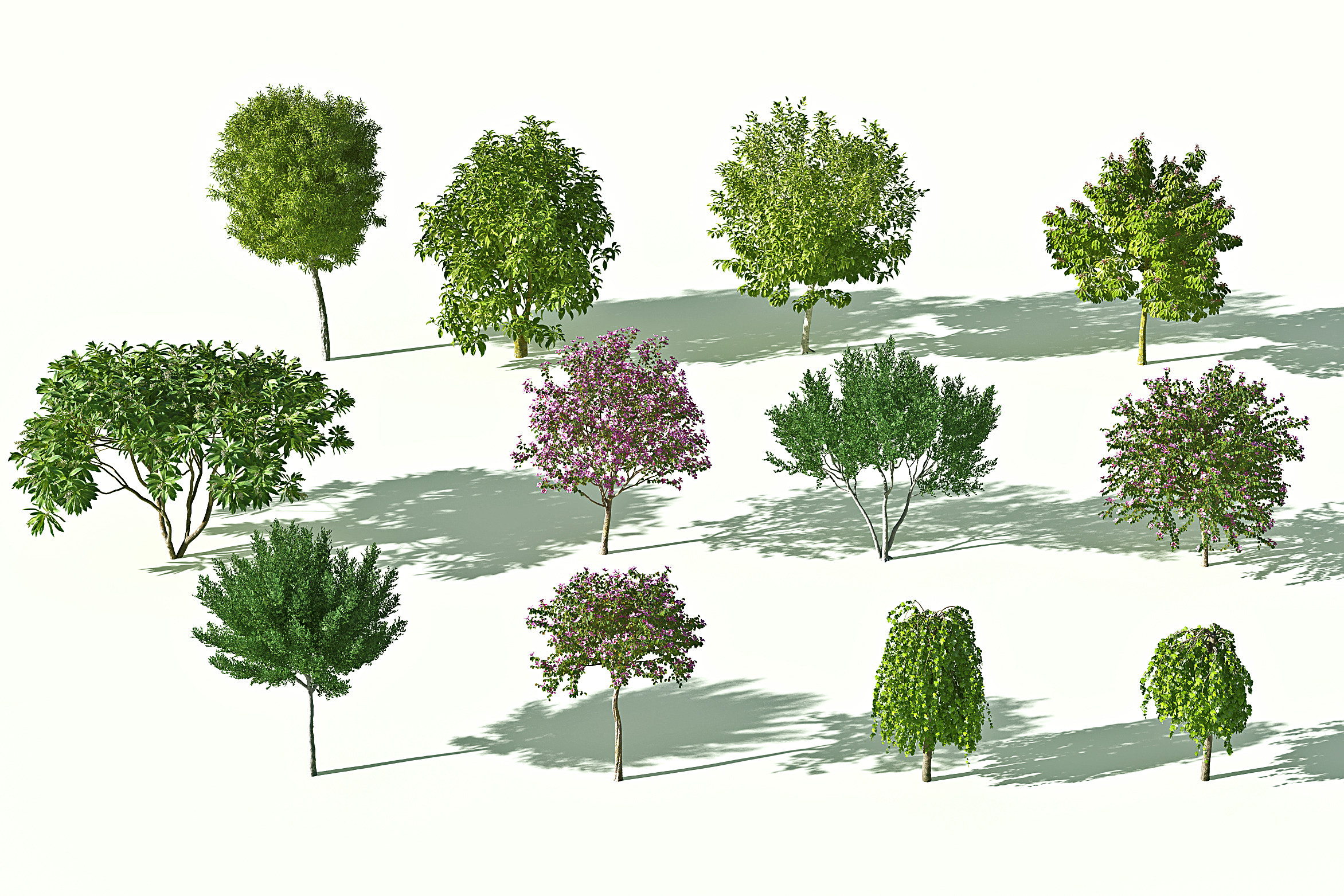 现代花树3d模型下载
