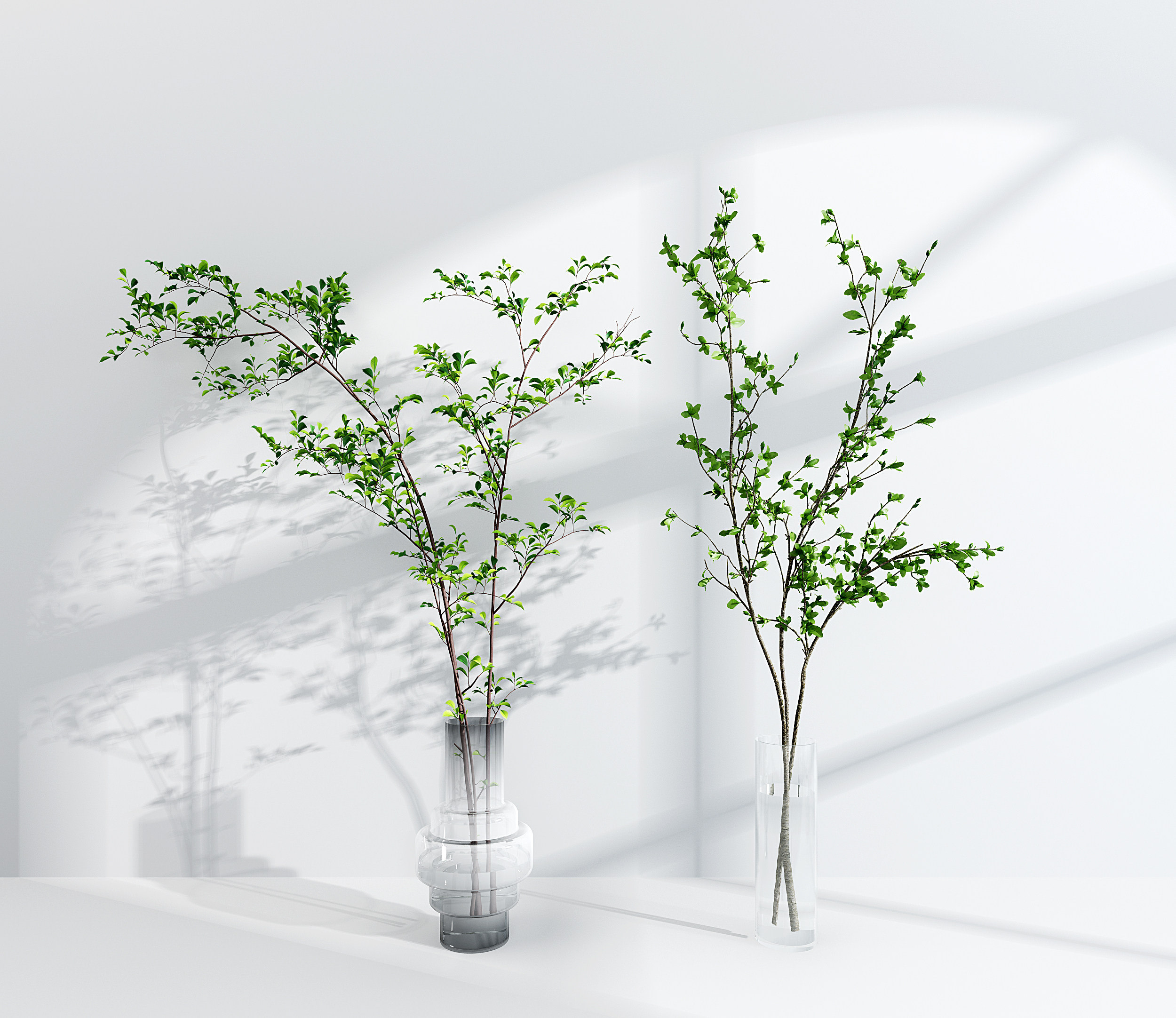 水生植物,绿植,玻璃花瓶3d模型下载
