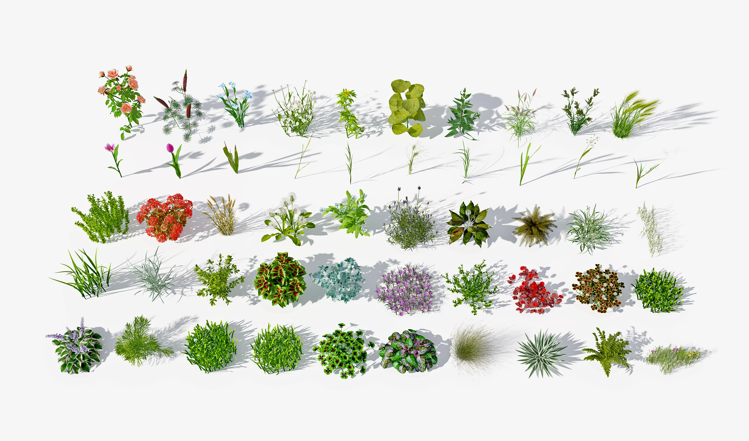 现代灌木,植物，绿植草3d模型下载