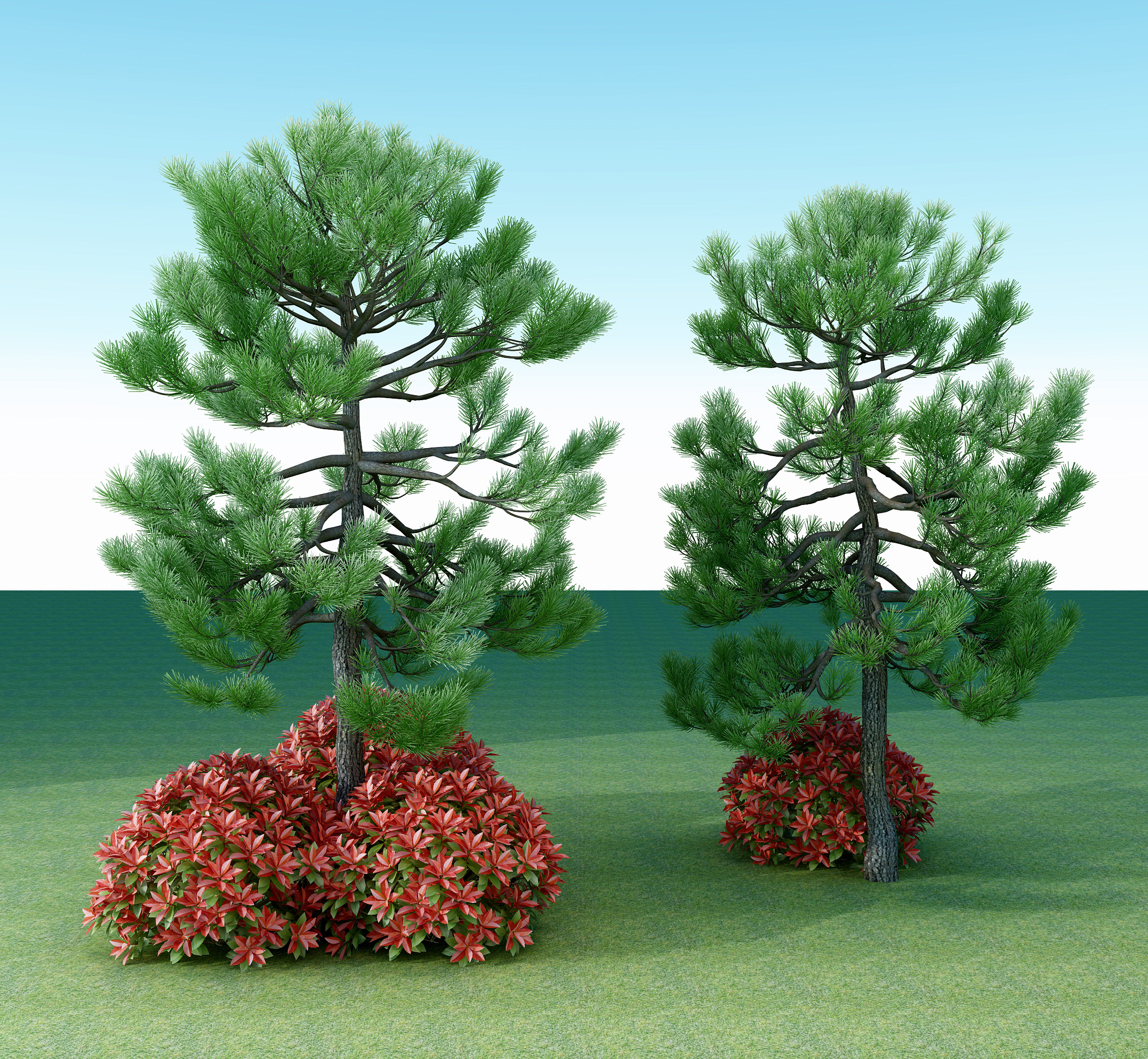 现代松树,户外树3d模型下载