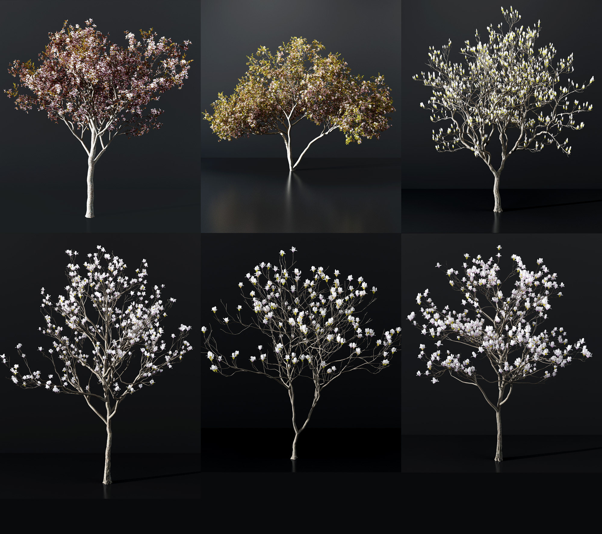 现代景观树 3d模型下载