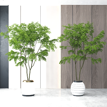 现代绿植盆栽,盆景植物组合3d模型下载