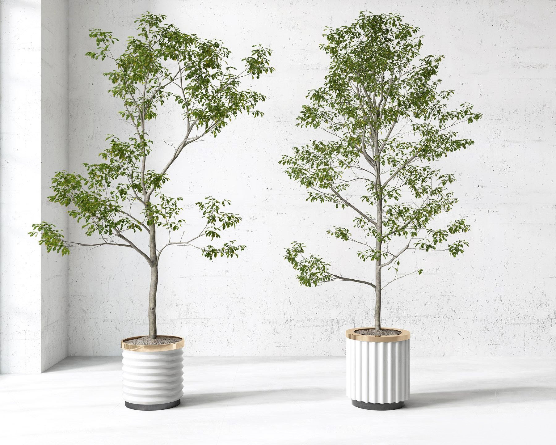 现代绿植盆栽3d模型下载