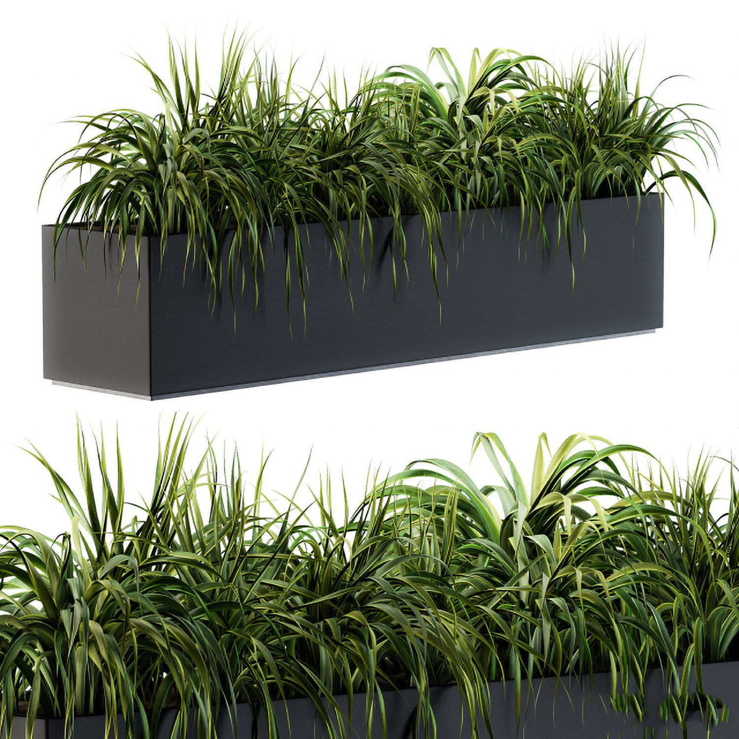 现代植物池3d模型下载