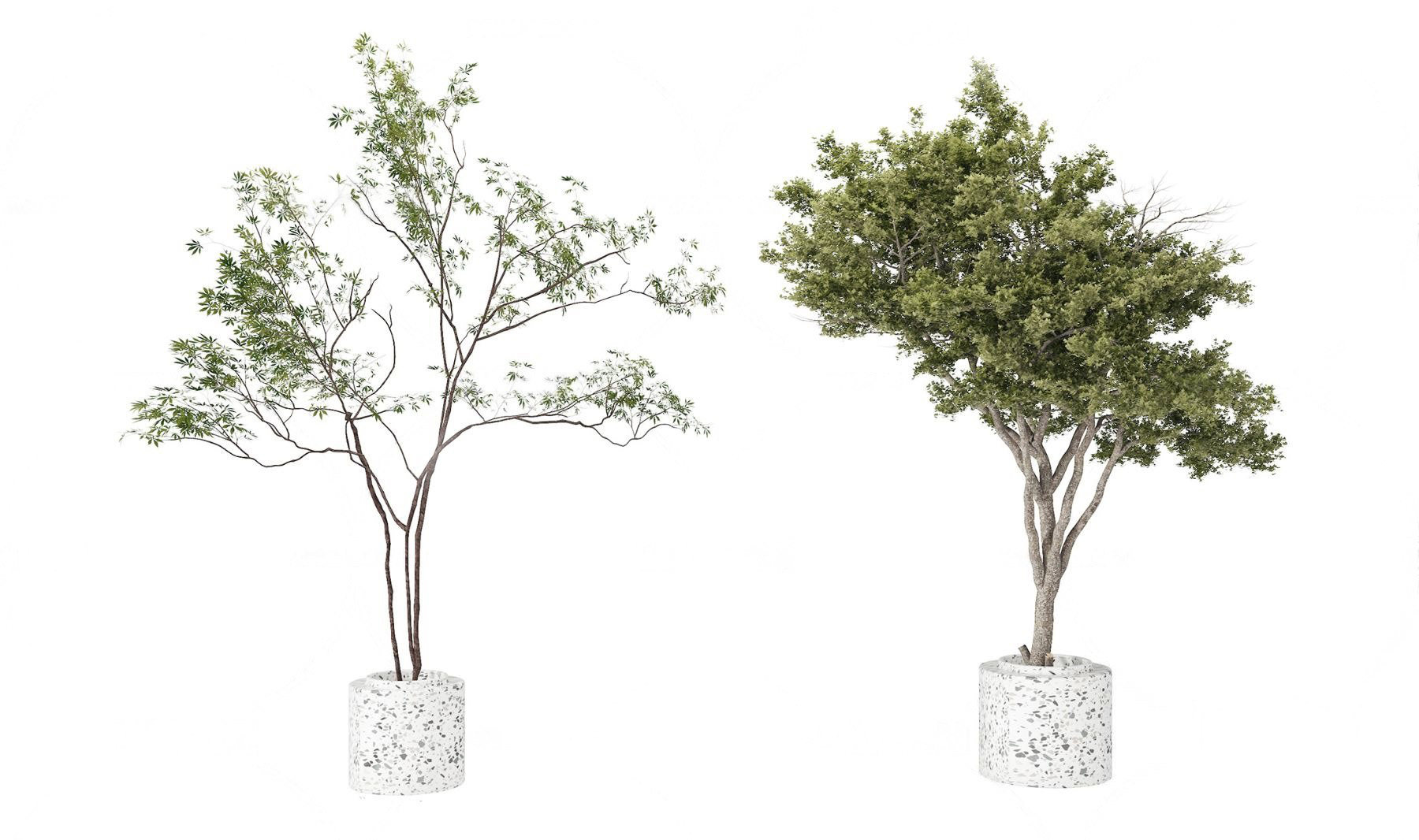 现代盆栽组合3d模型下载