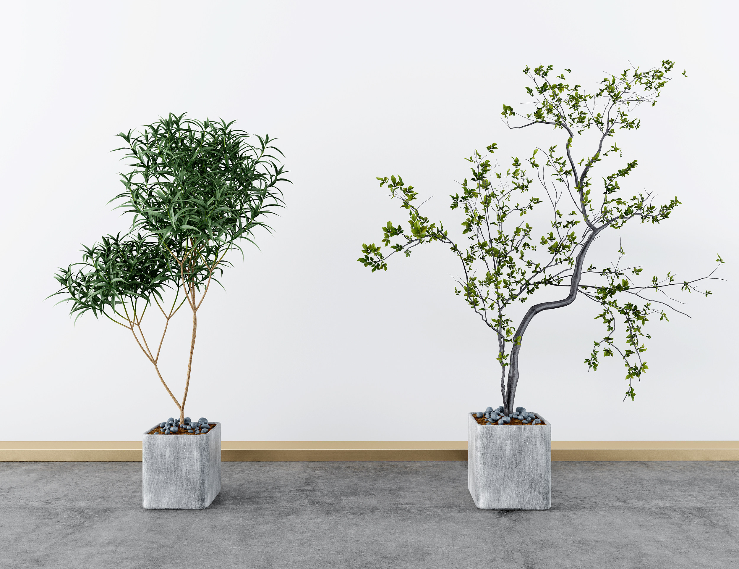 现代绿植盆栽,绿植3d模型下载