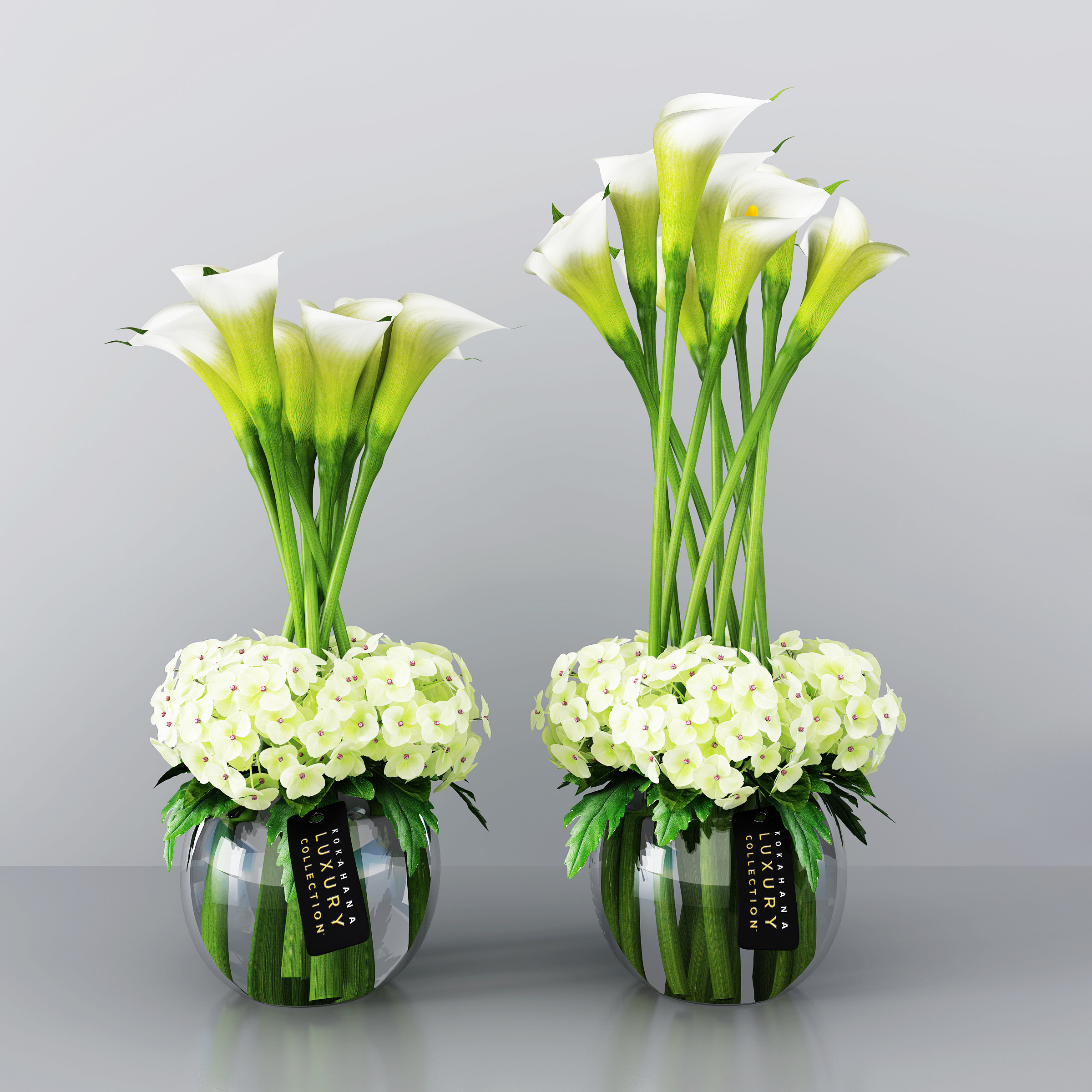 现代马蹄莲,花瓶,花卉,植物,花艺3d模型下载