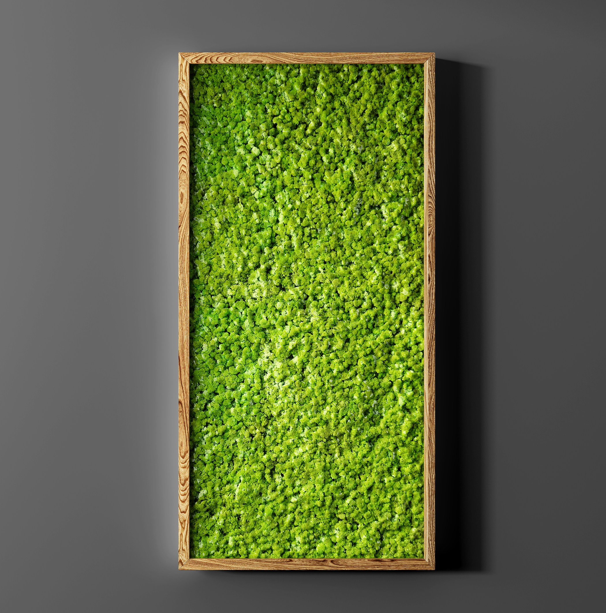 现代植物墙,植物装饰挂画苔藓3d模型下载