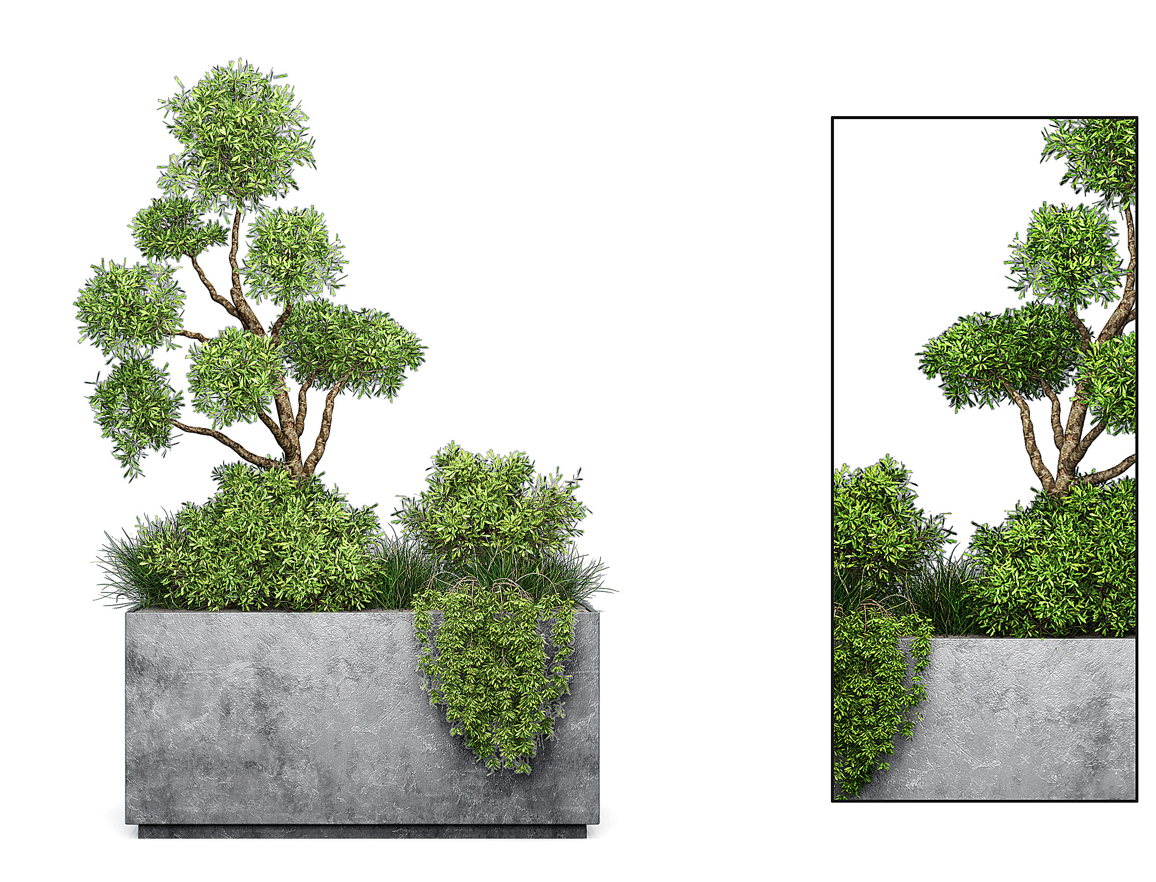 现代绿植盆栽，花槽3d模型下载