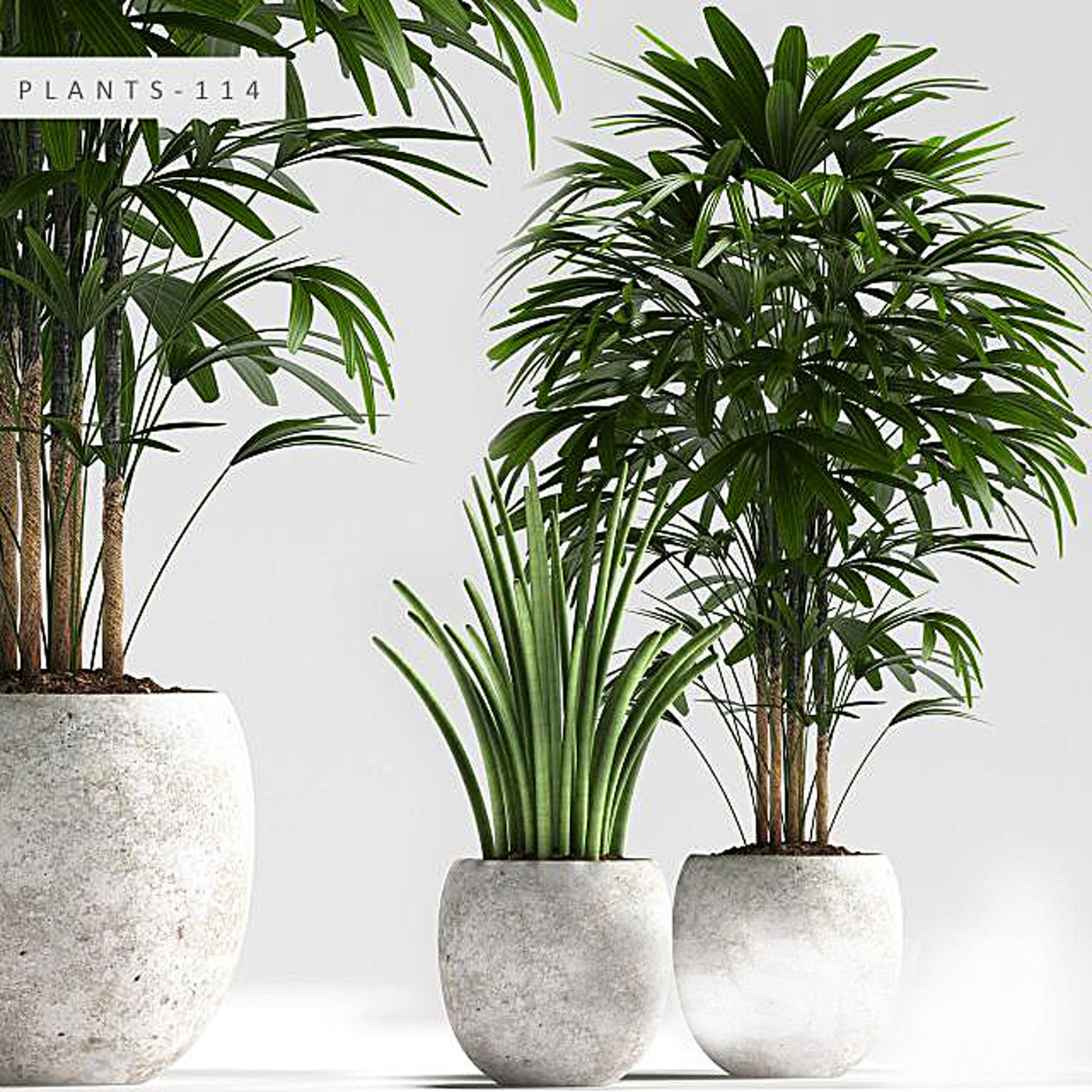 20植物盆栽3d模型下载