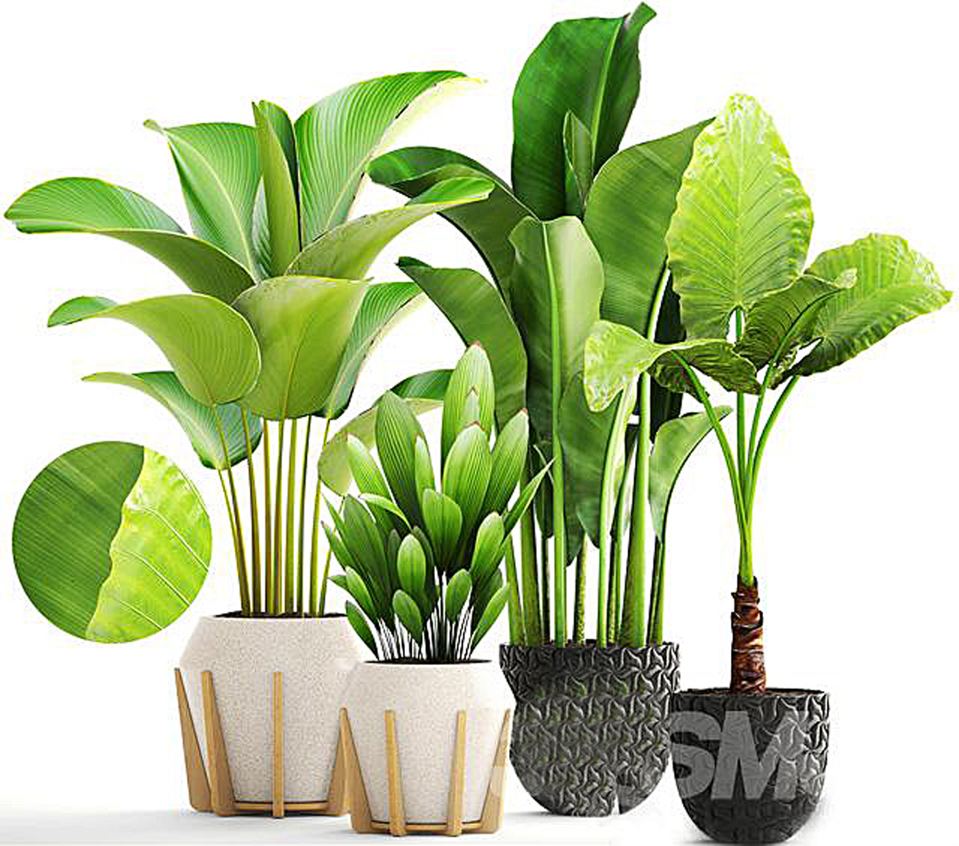 22植物盆栽绿植3d模型下载