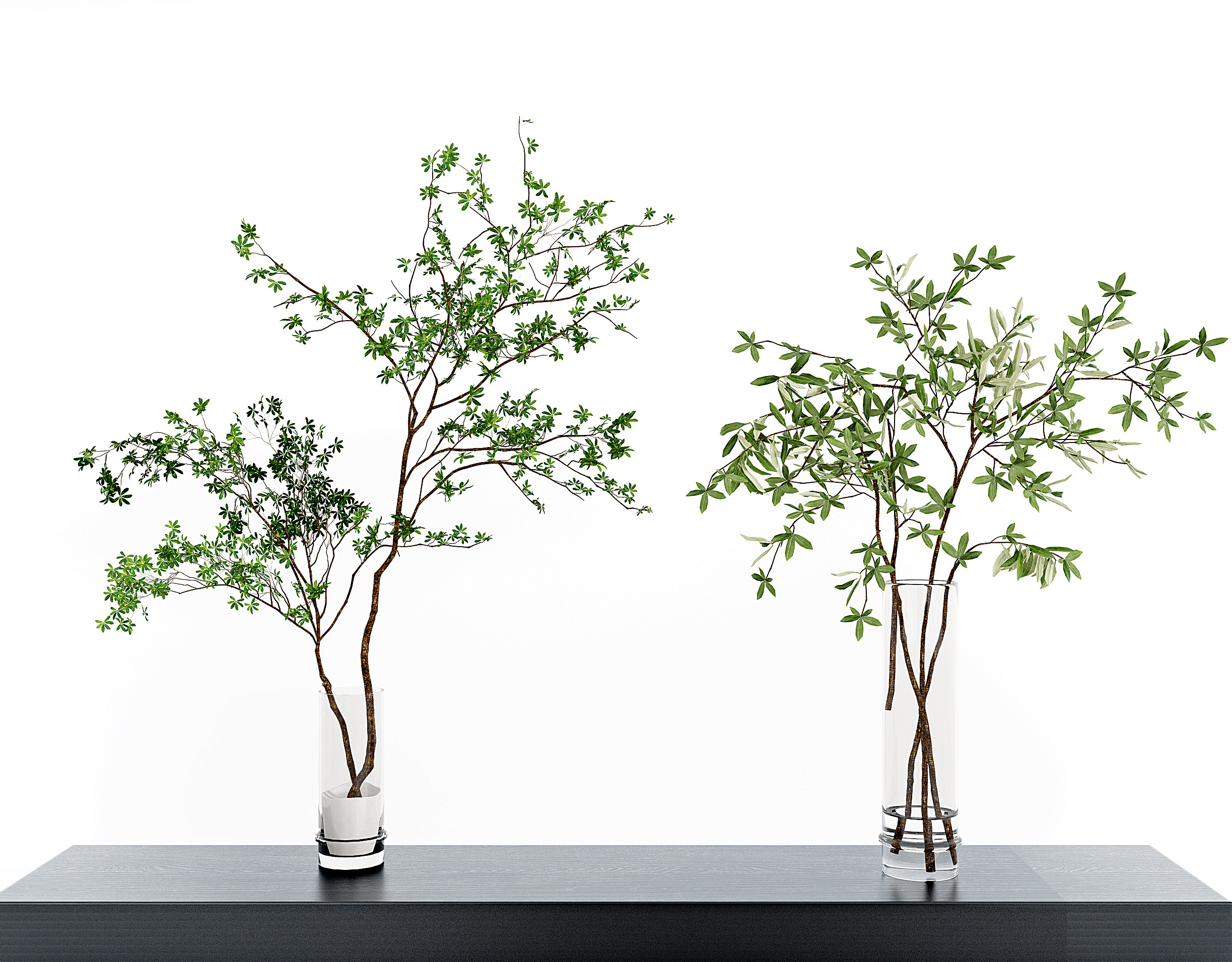 现代水生植物,玻璃花瓶, (1)3d模型下载