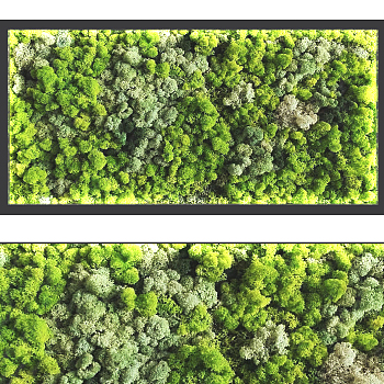 现代苔藓植物墙3d模型下载