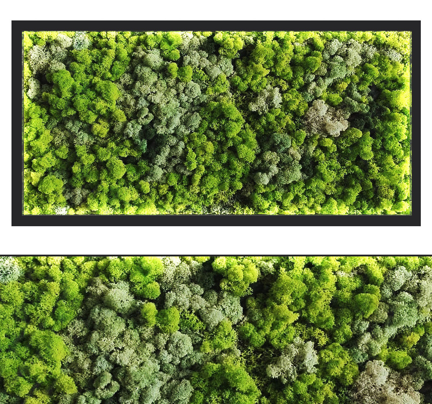 现代苔藓植物墙3d模型下载