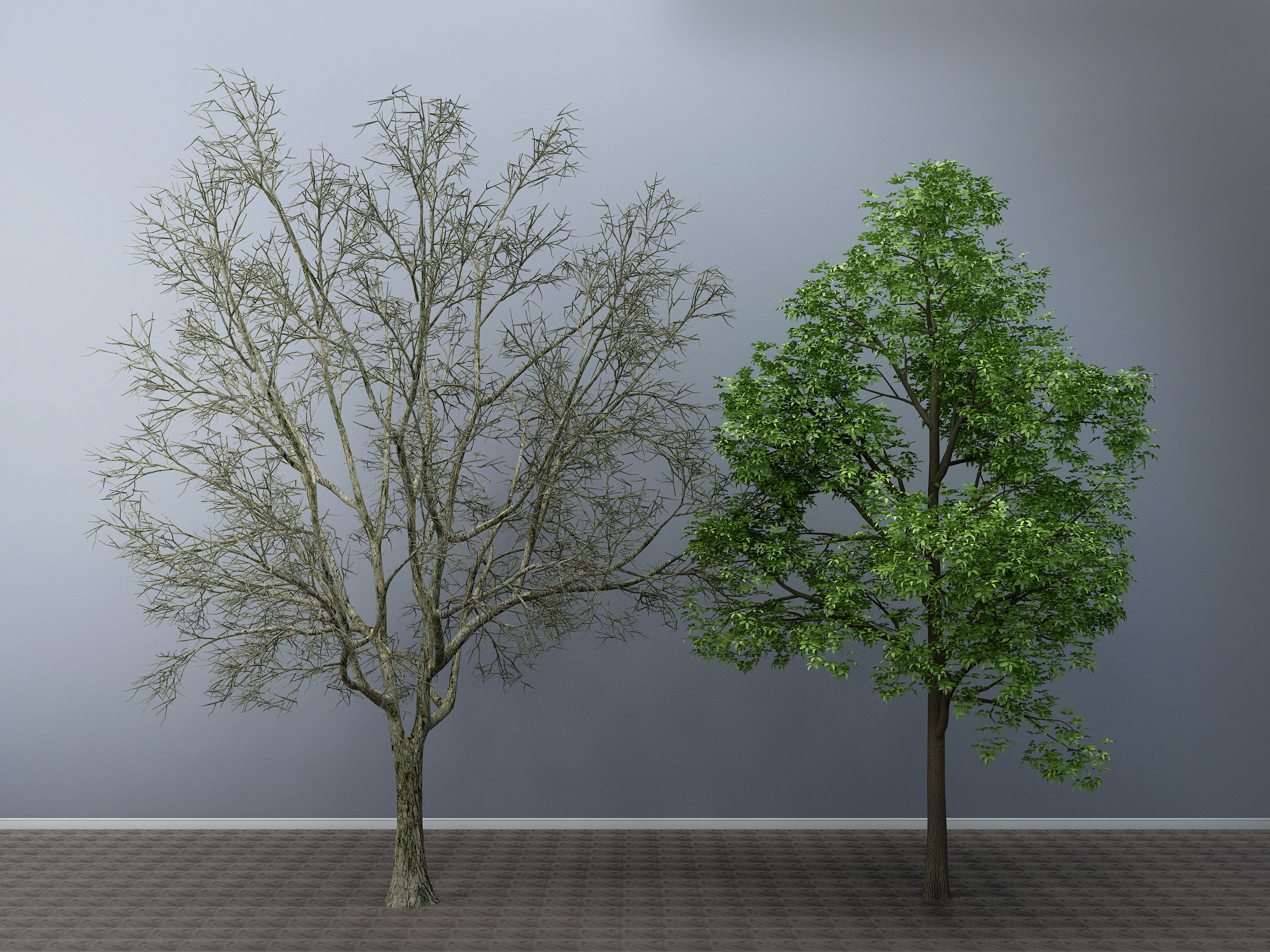 现代 树，干树枝3d模型下载