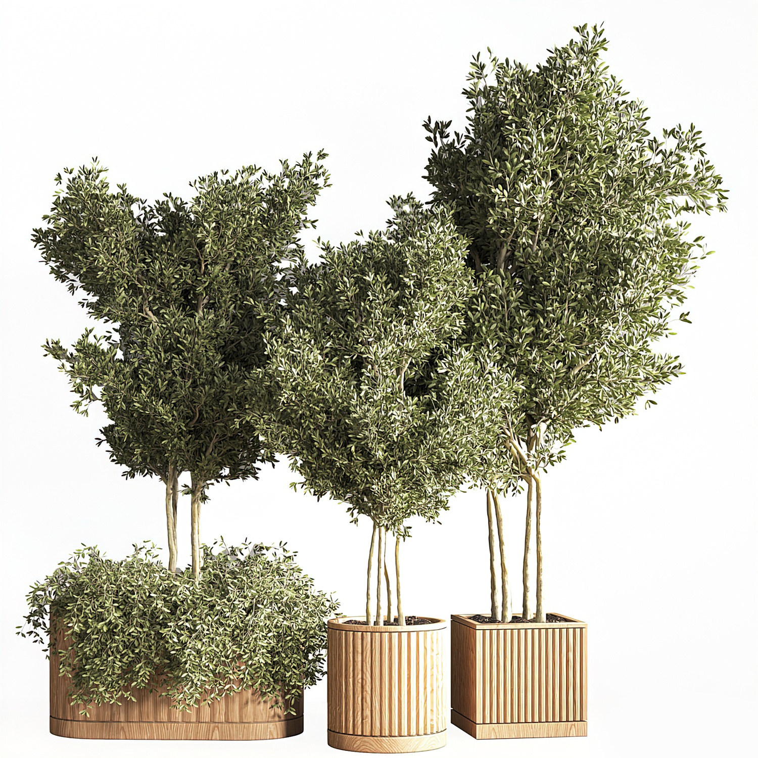 现代植物花钵3d模型下载