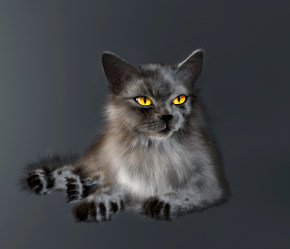 现代宠物猫3d模型下载